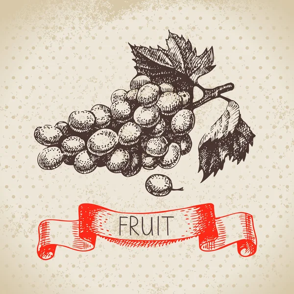 手的素描画的水果葡萄. — 图库矢量图片