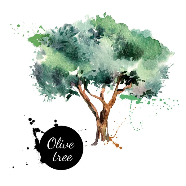 Векторная иллюстрация оливковых деревьев . Стоковая Иллюстрация