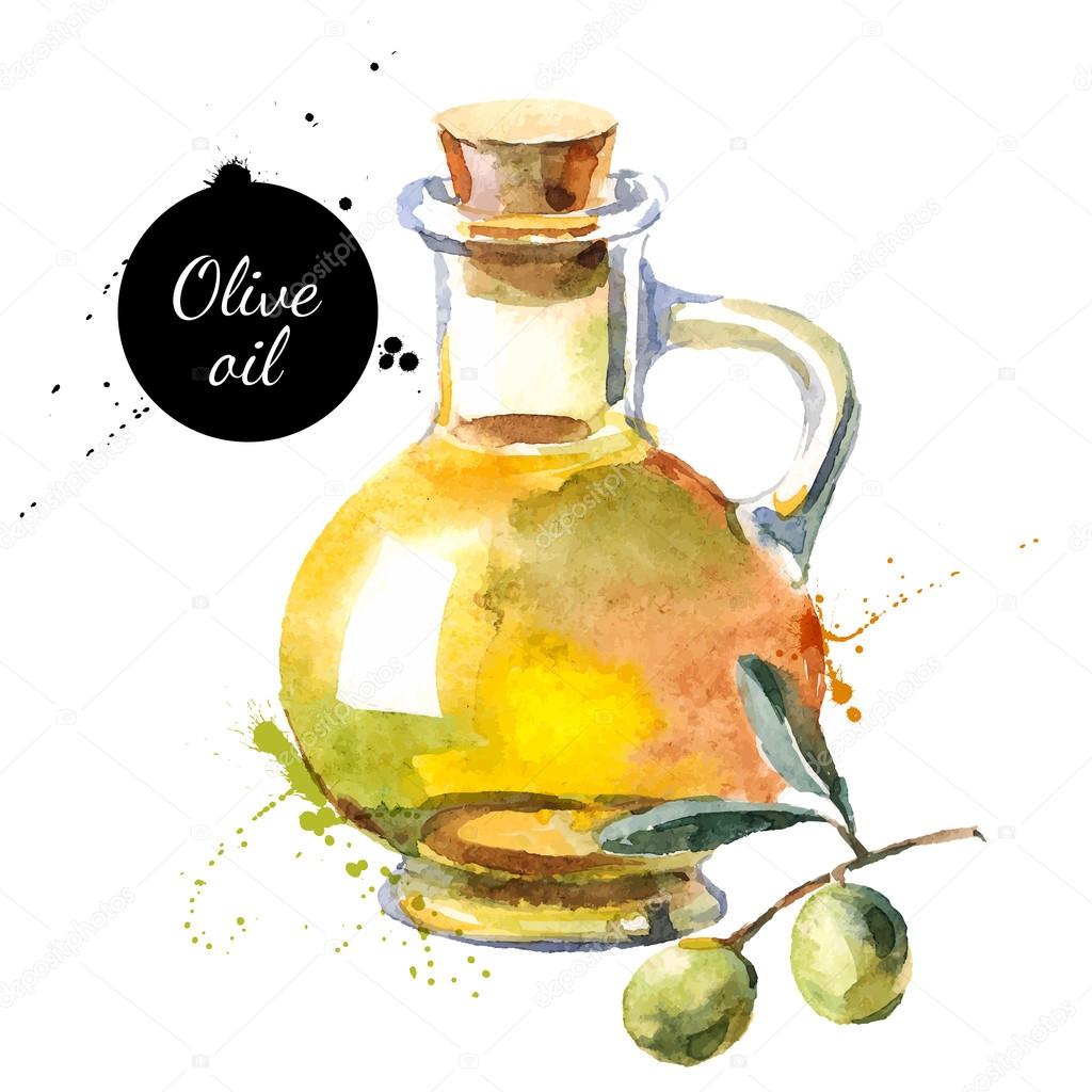 Olive bottle vector illustration. Hand drawn watercolor painting on white background