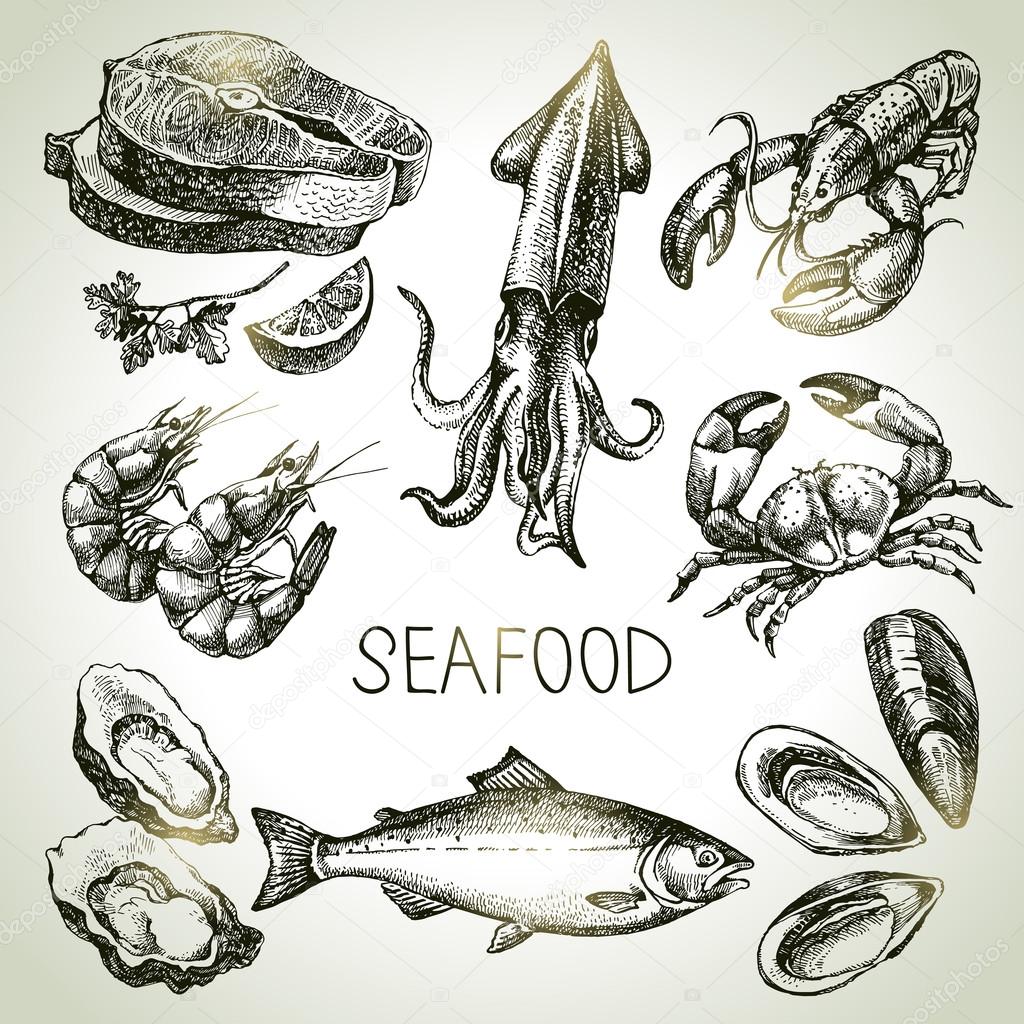 Hand drawn sketch set of seafood. Vector illustration