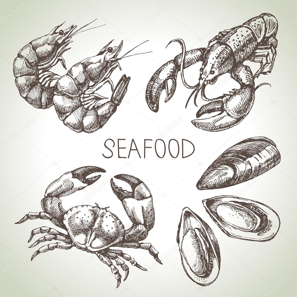 Hand drawn sketch set of seafood.