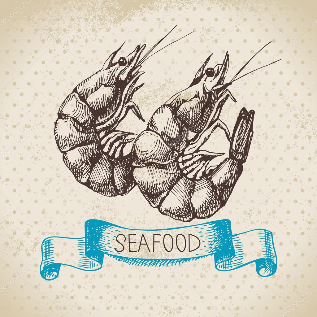 Vintage sea background. Hand drawn sketch seafood vector illustration of shrimps