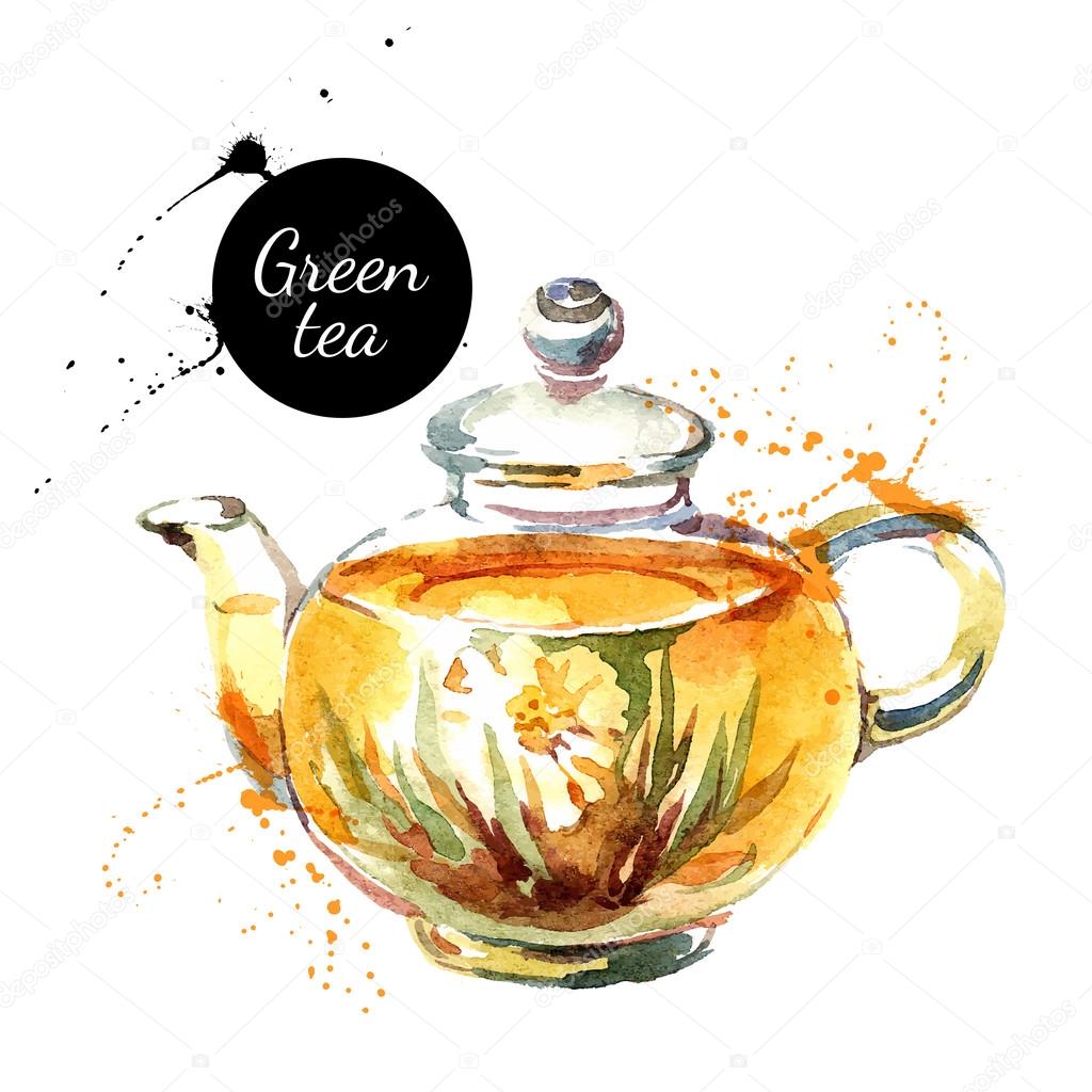 Watercolor hand drawn painted tea — Stock Vector © pimonova 80459200