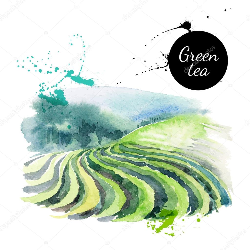 Watercolor hand drawn painted tea