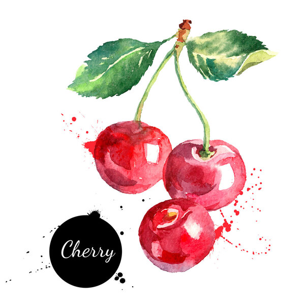 Hand drawn watercolor painting cherries