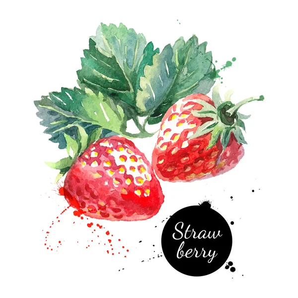 Hand drawn watercolor painting strawberries — Stock Vector