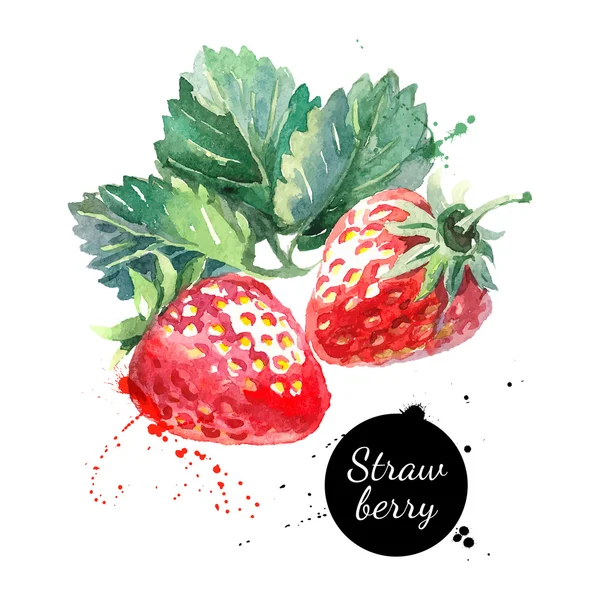 Hand drawn watercolor painting strawberries Vector Graphics