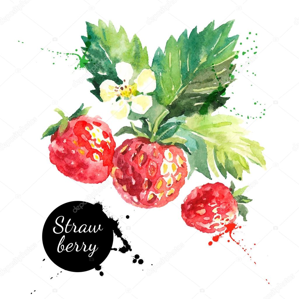 Hand drawn watercolor painting strawberries