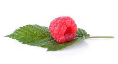 Ahududu yaprak yeşil üzerinde