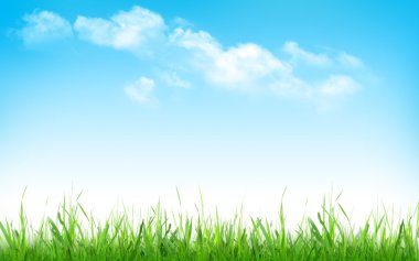 güneşli bir bahar arka plan