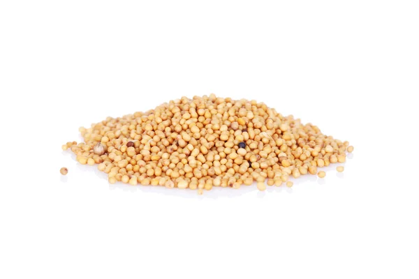 White mustard seeds — Stock Photo, Image