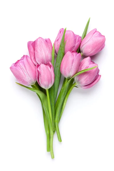 Flores frescas de tulipán — Foto de Stock