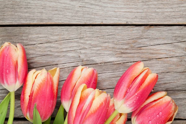 Coloridas flores de tulipán — Foto de Stock