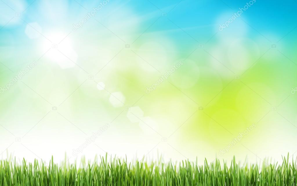Sunny spring grass and sky