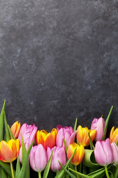 Fleurs de tulipes fraîches colorées — Photo