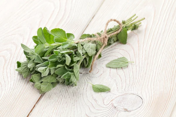 Bando de ervas oréganas de jardim — Fotografia de Stock