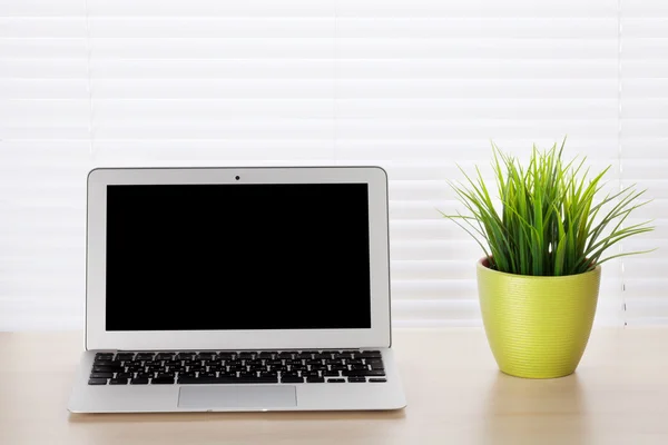Escritório com laptop e planta — Fotografia de Stock