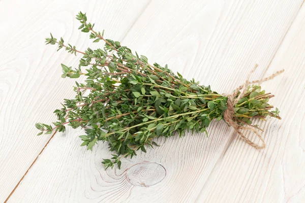 Stelletje tuin tijm kruid — Stockfoto