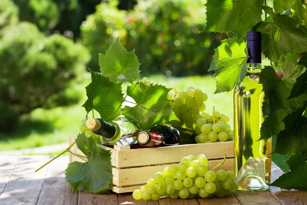하얀 와인 병 과빨간 와인 병 — 스톡 사진