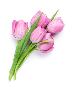 Fresh pink tulip flowers bouquet clipart