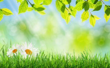 Soyut güneşli bahar arka plan