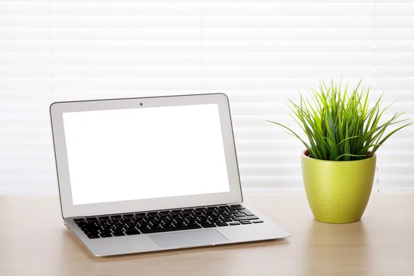 Office workplace with laptop and plant — Stock Photo, Image
