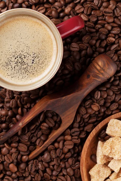 Šálek kávy, fazole a hnědý cukr — Stock fotografie