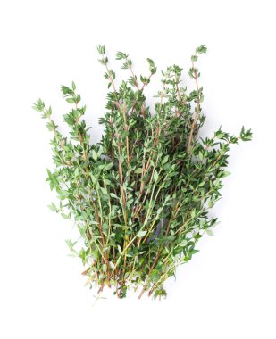 Taze Bahçe kekik ot