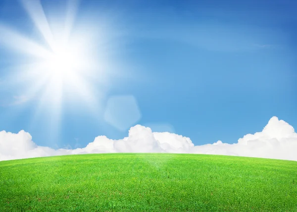 Зеленое поле и голубое небо с солнцем — стоковое фото