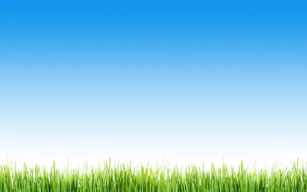 Abstract grass and sky — Stock Photo, Image