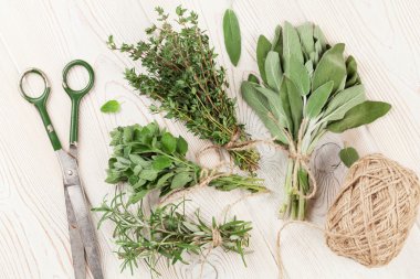 taze Bahçe otlarverse tuinkruiden