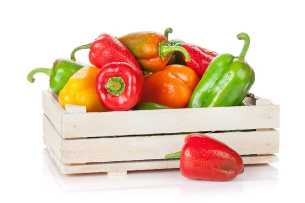 Čerstvé papriky barevné krabice — Stock fotografie