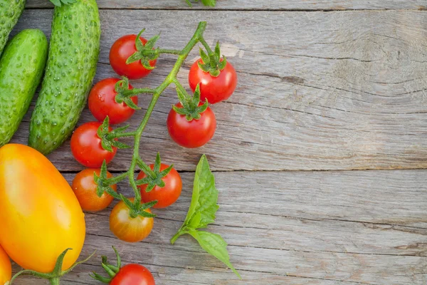 Produtos hortícolas frescos e maduros — Fotografia de Stock