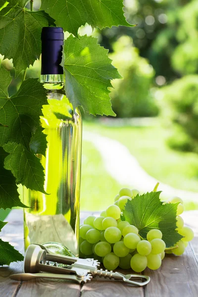 White wine bottle and white grape — Stock Photo, Image