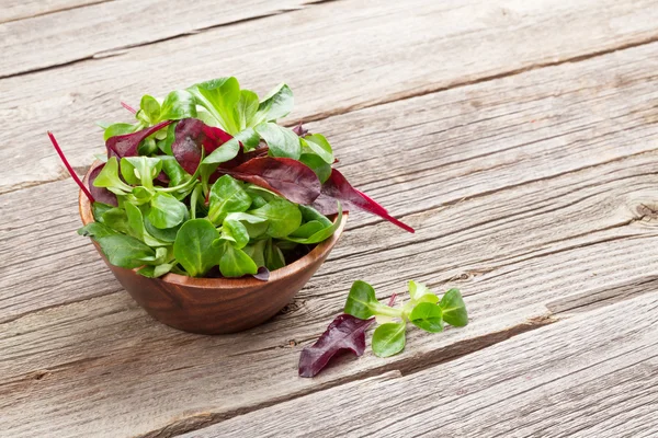 Salada de milho folhas na tigela — Fotografia de Stock