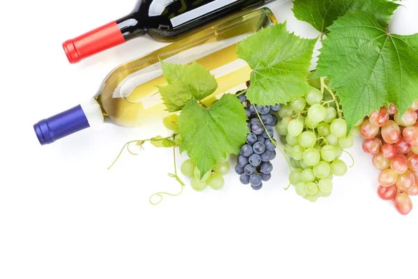 Ramo de uvas y vino —  Fotos de Stock