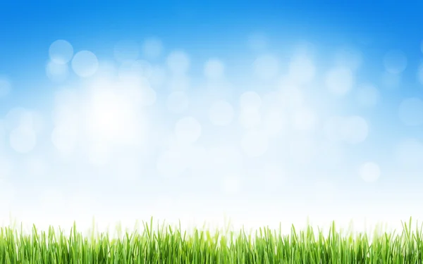 Background with grass and sky — Stock Photo, Image