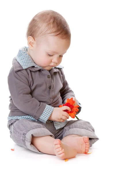 Små baby Holding orange blomma — Stockfoto
