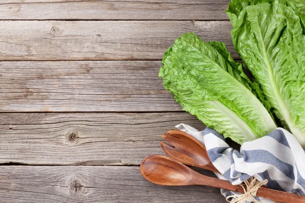 Insalata Romano fresca — Foto Stock