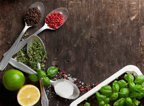 Herbes et épices sur table en bois — Photo