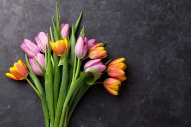 Taze renkli Lale çiçek