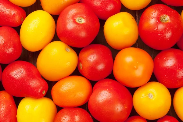 Ahşap masa üzerinde renkli domates — Stok fotoğraf