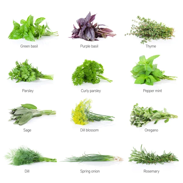 Fresh garden herbs set — Stock Photo, Image