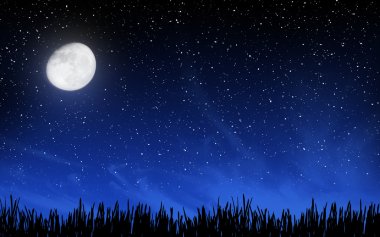 Pek çok yıldız ve çim derin gece gökyüzü