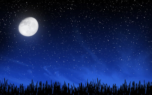 Глубокое ночное небо со многими звездами и травой
