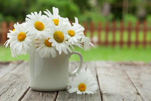 Flores de camomila margarida — Fotografia de Stock