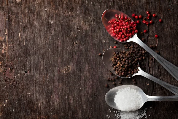 Kryddor av peppar och salt — Stockfoto