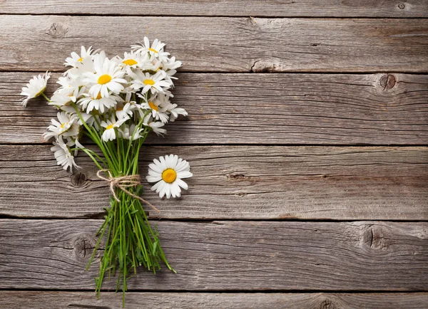 Daisy chamomile flowers bouquet — Stock Photo, Image