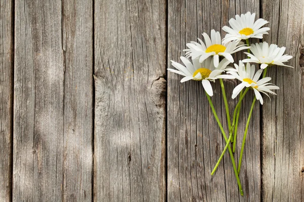 Gänseblümchen-Kamillenblüten-Strauß — Stockfoto