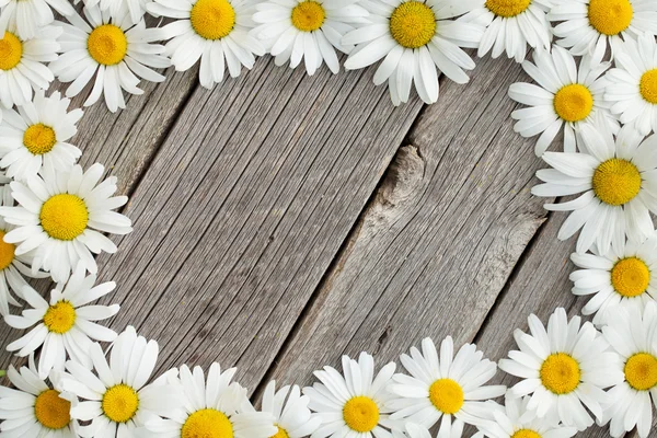 Daisy chamomile flowers on wood — Stock Photo, Image